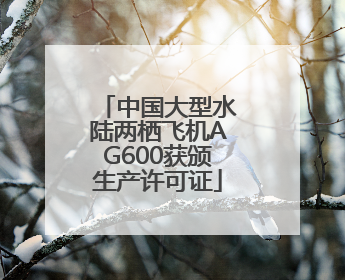 中国大型水陆两栖飞机AG600获颁生产许可证