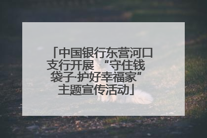 中国银行东营河口支行开展 “守住钱袋子·护好幸福家”主题宣传活动