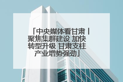 中央媒体看甘肃丨聚焦集群建设 加快转型升级 甘肃支柱产业增势强劲