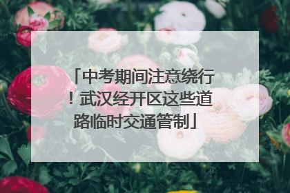 中考期间注意绕行！武汉经开区这些道路临时交通管制