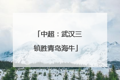 中超：武汉三镇胜青岛海牛