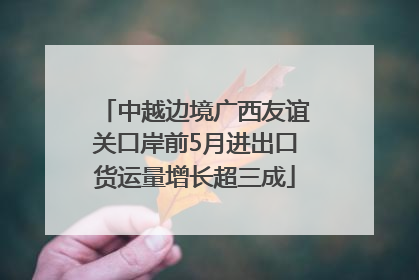 中越边境广西友谊关口岸前5月进出口货运量增长超三成
