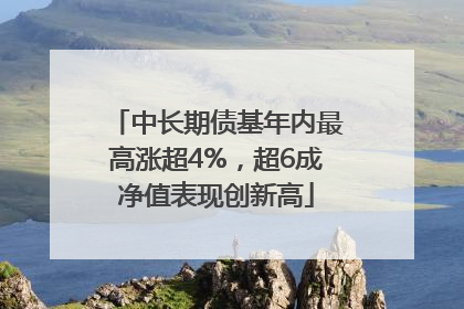 中长期债基年内最高涨超4%，超6成净值表现创新高