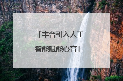 丰台引入人工智能赋能心育