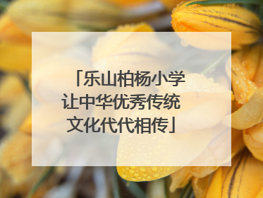 乐山柏杨小学让中华优秀传统文化代代相传