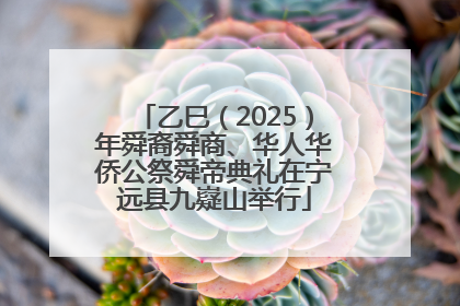 乙巳（2025）年舜裔舜商、华人华侨公祭舜帝典礼在宁远县九嶷山举行
