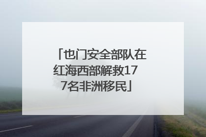 也门安全部队在红海西部解救177名非洲移民