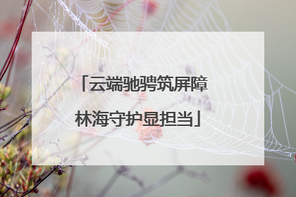 云端驰骋筑屏障 林海守护显担当