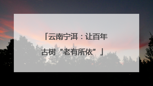 云南宁洱：让百年古树“老有所依”