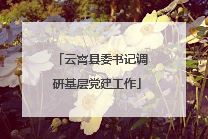 云霄县委书记调研基层党建工作