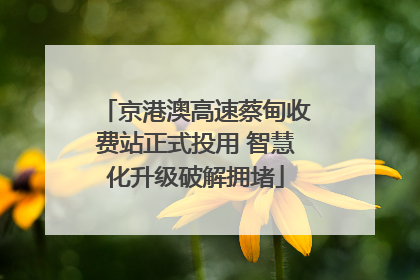 京港澳高速蔡甸收费站正式投用 智慧化升级破解拥堵