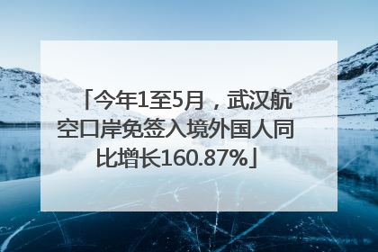 今年1至5月，武汉航空口岸免签入境外国人同比增长160.87%