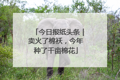 今日报纸头条｜卖火了棉袄，今年种了千亩棉花