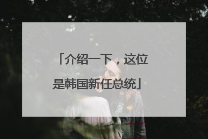 介绍一下，这位是韩国新任总统