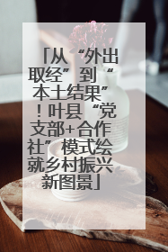 从“外出取经”到“本土结果”！叶县“党支部+合作社”模式绘就乡村振兴新图景