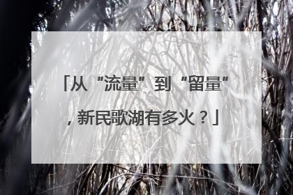 从“流量”到“留量”，新民歌湖有多火？