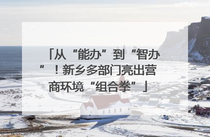 从“能办”到“智办”！新乡多部门亮出营商环境“组合拳”
