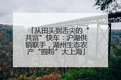 从田头到舌尖的“共富”快车：沪湖供销联手，湖州生态农产“圈粉”大上海