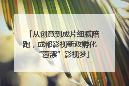 从创意到成片细腻陪跑，成都影视新政孵化“蓉漂”影视梦