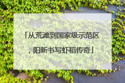 从荒滩到国家级示范区，阳新书写虾稻传奇