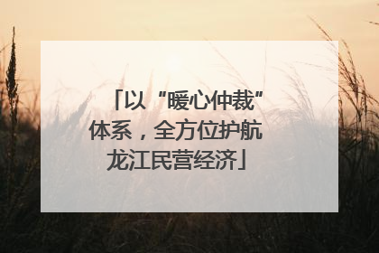 以“暖心仲裁”体系，全方位护航龙江民营经济