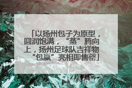 以扬州包子为原型，圆润饱满，“蒸”腾向上，扬州足球队吉祥物“包赢”亮相即售罄