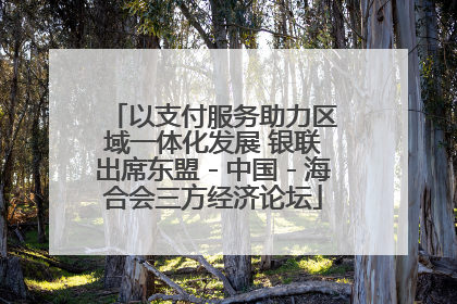 以支付服务助力区域一体化发展 银联出席东盟－中国－海合会三方经济论坛