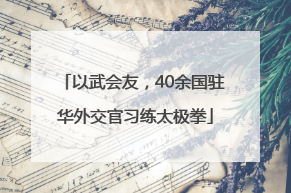 以武会友，40余国驻华外交官习练太极拳