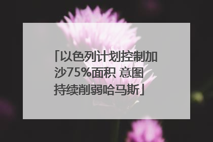 以色列计划控制加沙75%面积 意图持续削弱哈马斯