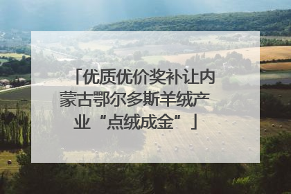 优质优价奖补让内蒙古鄂尔多斯羊绒产业“点绒成金”