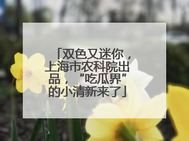 双色又迷你，上海市农科院出品，“吃瓜界”的小清新来了