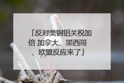 反对美钢铝关税加倍 加拿大、墨西哥、欧盟反应来了
