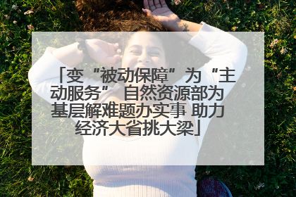 变“被动保障”为“主动服务” 自然资源部为基层解难题办实事 助力经济大省挑大梁