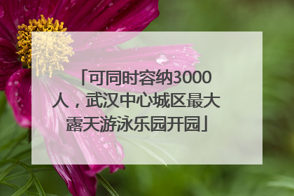 可同时容纳3000人，武汉中心城区最大露天游泳乐园开园