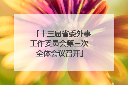十三届省委外事工作委员会第三次全体会议召开