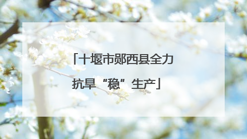 十堰市郧西县全力抗旱“稳”生产