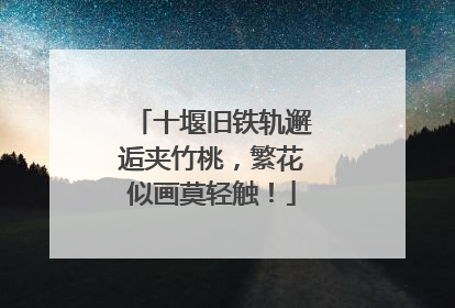 十堰旧铁轨邂逅夹竹桃，繁花似画莫轻触！
