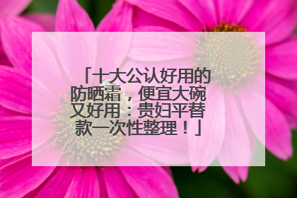 十大公认好用的防晒霜，便宜大碗又好用：贵妇平替款一次性整理！
