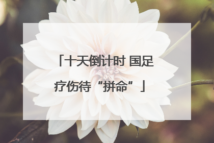十天倒计时 国足疗伤待“拼命”