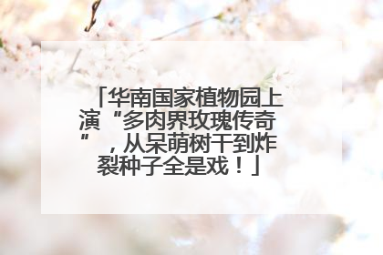 华南国家植物园上演“多肉界玫瑰传奇”，从呆萌树干到炸裂种子全是戏！