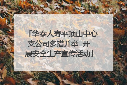 华泰人寿平顶山中心支公司多措并举  开展安全生产宣传活动