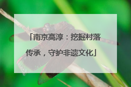 南京高淳：挖掘村落传承，守护非遗文化
