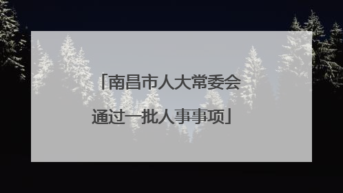 南昌市人大常委会通过一批人事事项