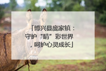 博兴县庞家镇：守护“睛”彩世界，呵护心灵成长