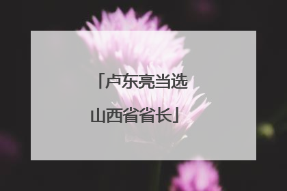 卢东亮当选山西省省长