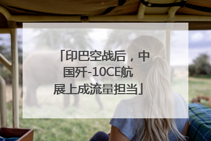 印巴空战后，中国歼-10CE航展上成流量担当