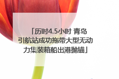 历时4.5小时 青岛引航站成功拖带大型无动力集装箱船出港抛锚