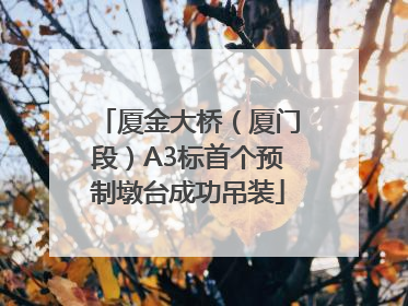 厦金大桥（厦门段）A3标首个预制墩台成功吊装
