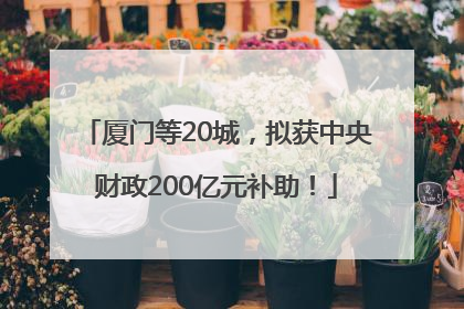 厦门等20城，拟获中央财政200亿元补助！