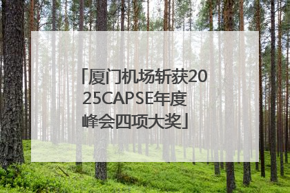 厦门机场斩获2025CAPSE年度峰会四项大奖